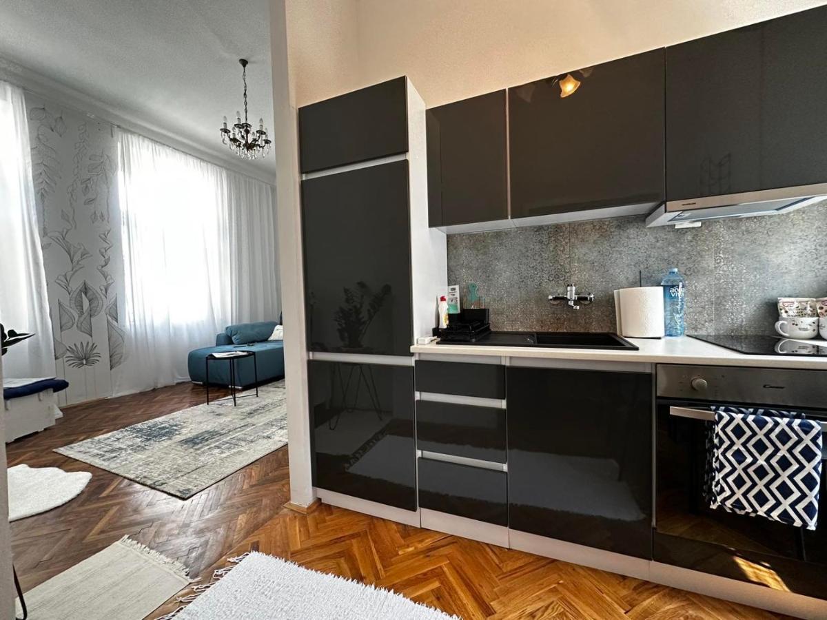 Pure Of Joy City Centre Apartment Subotica Exteriér fotografie
